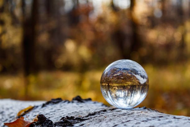 istockphoto-1351297882-612×612